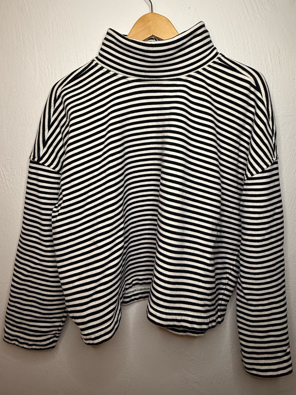 Everlane 100% Cotton Black & White Stripe Fold-over Turtleneck Sweatshirt